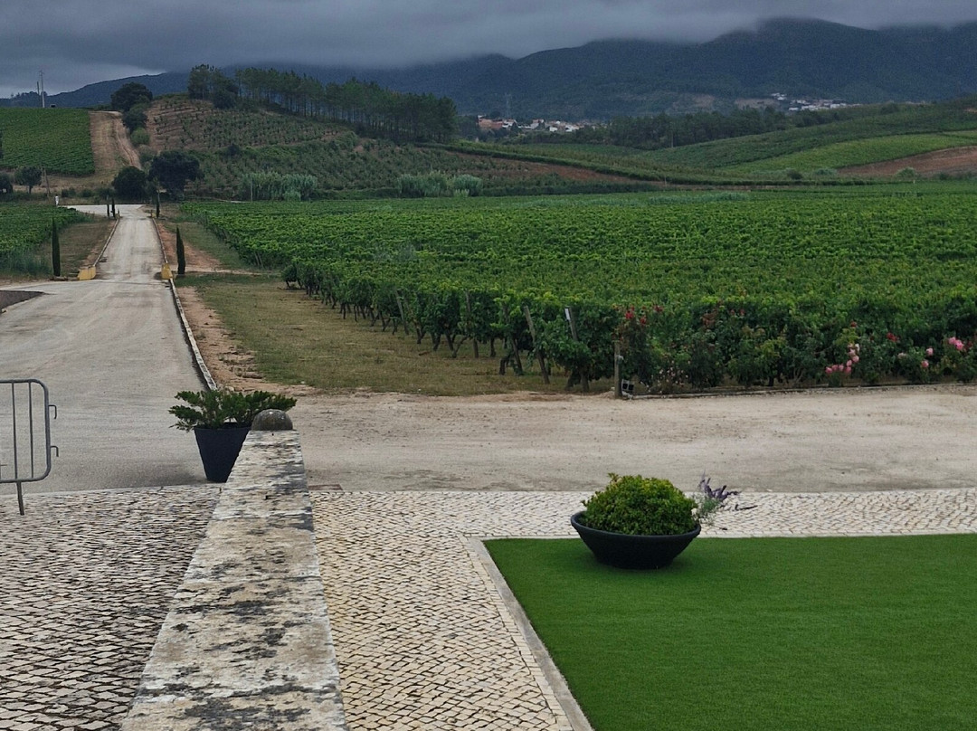 Quinta do Gradil Wine Tourism-Cadaval必去景点