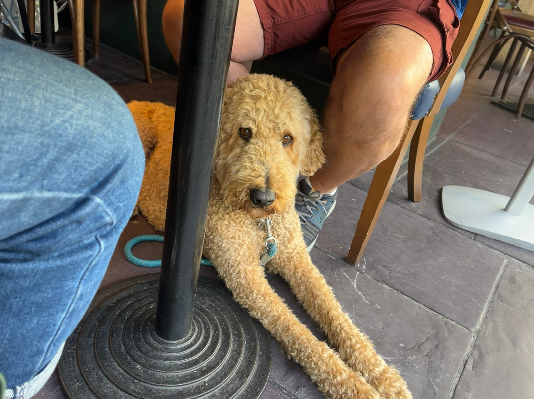 The Bull's Head Inn主图