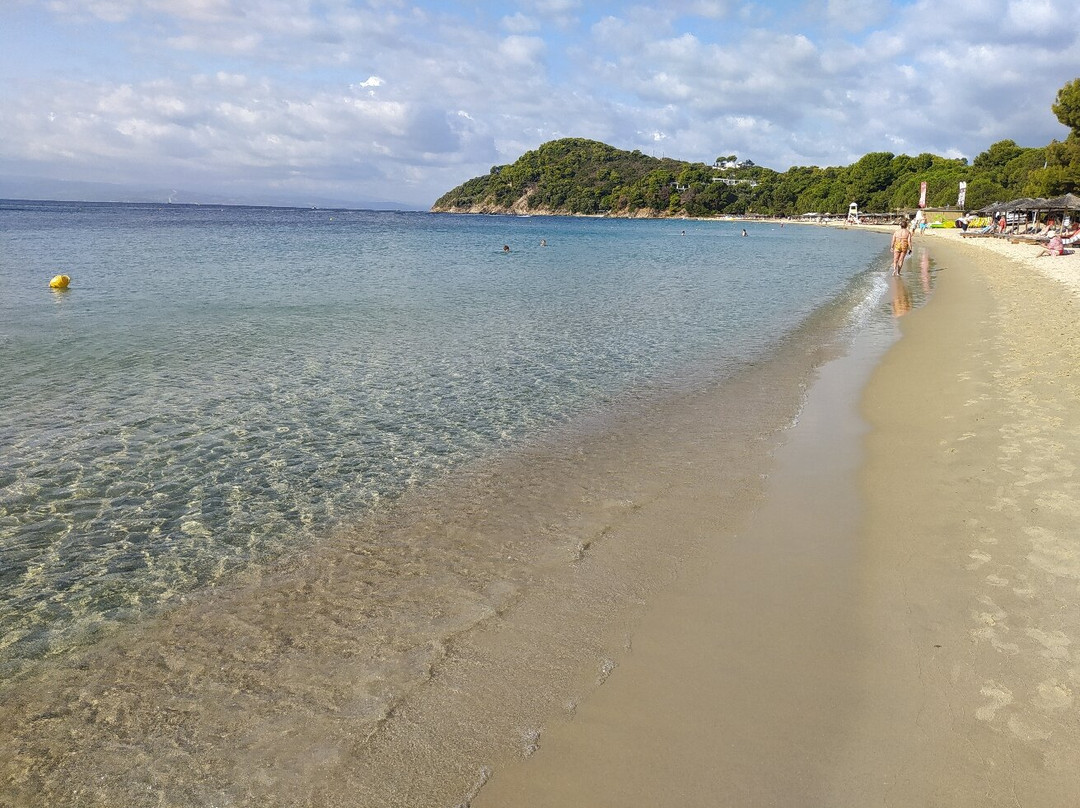 Koukounaries Beach-Koukounaries必去景点