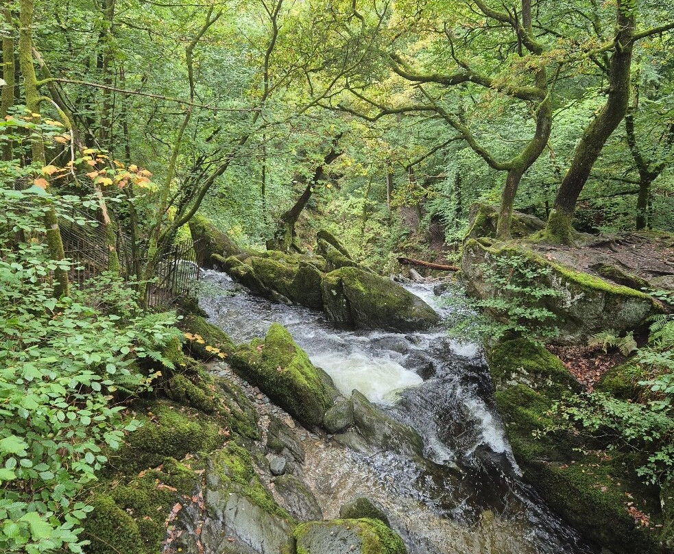 Stock Ghyll Force-安布赛德必去景点