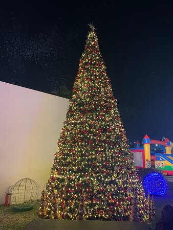 棕榈树水疗酒店主图