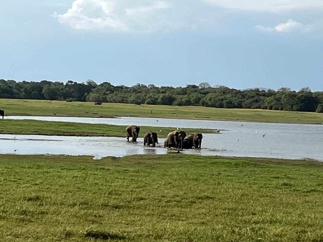 Mount Travels & Tours-拉非尼亚山必去景点