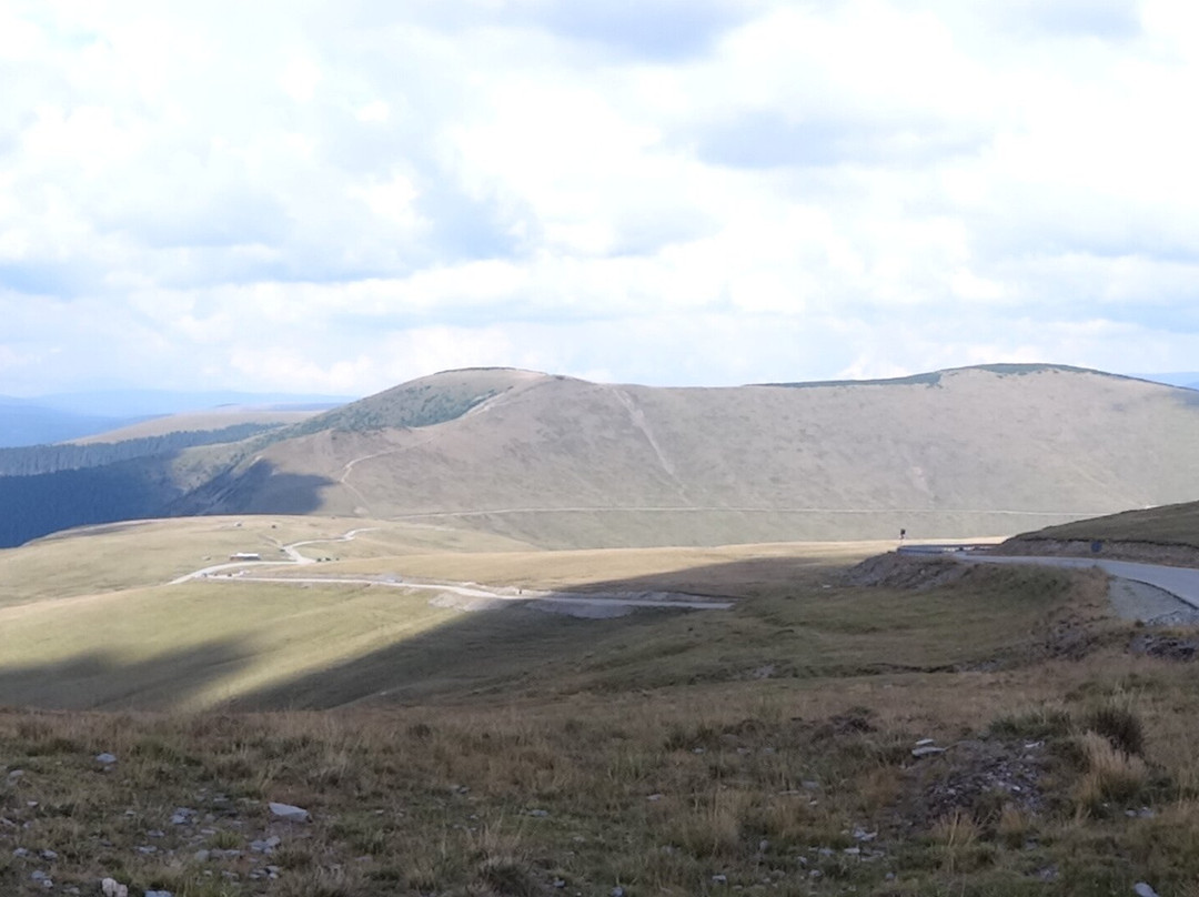 Transalpina-Gorj County必去景点