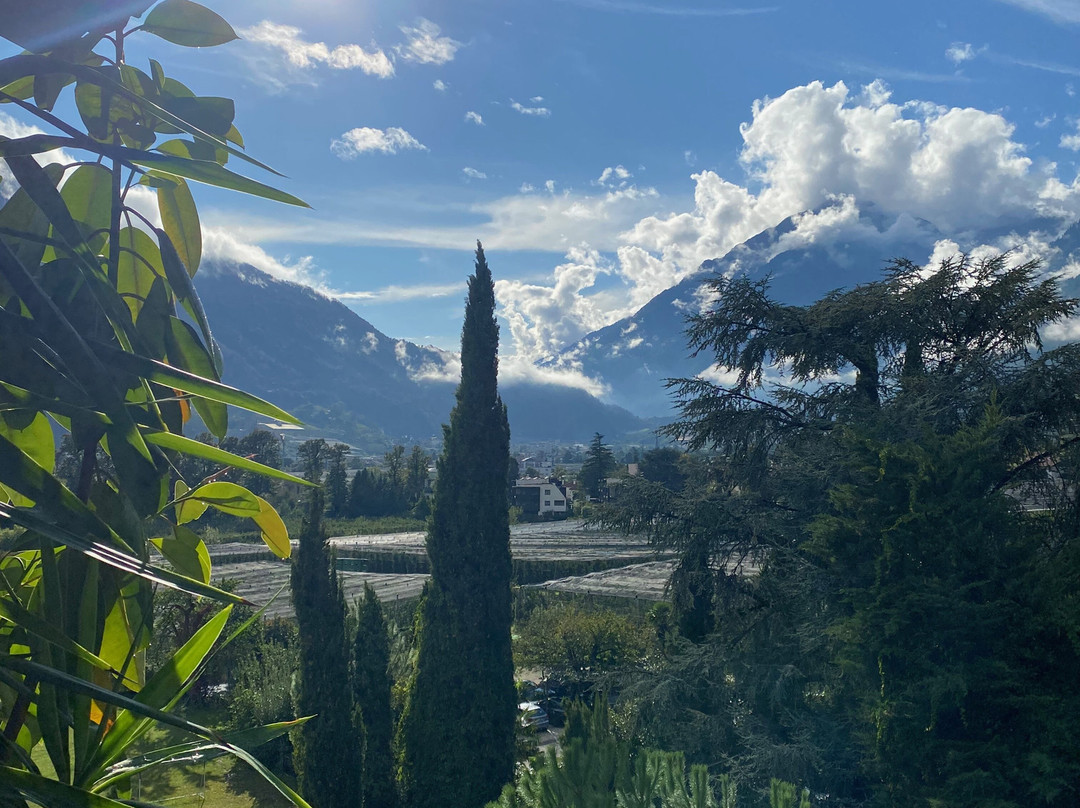 Hotel Villa Tivoli主图