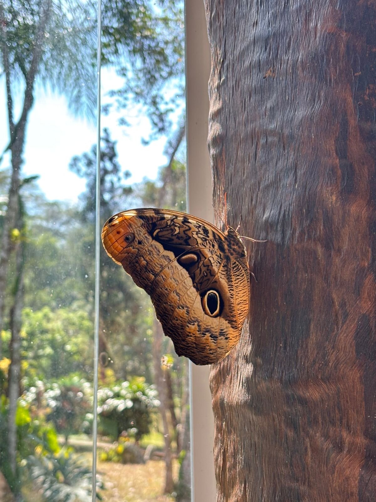 Matiz Resort Igaratá Spa e Eventos-浴室