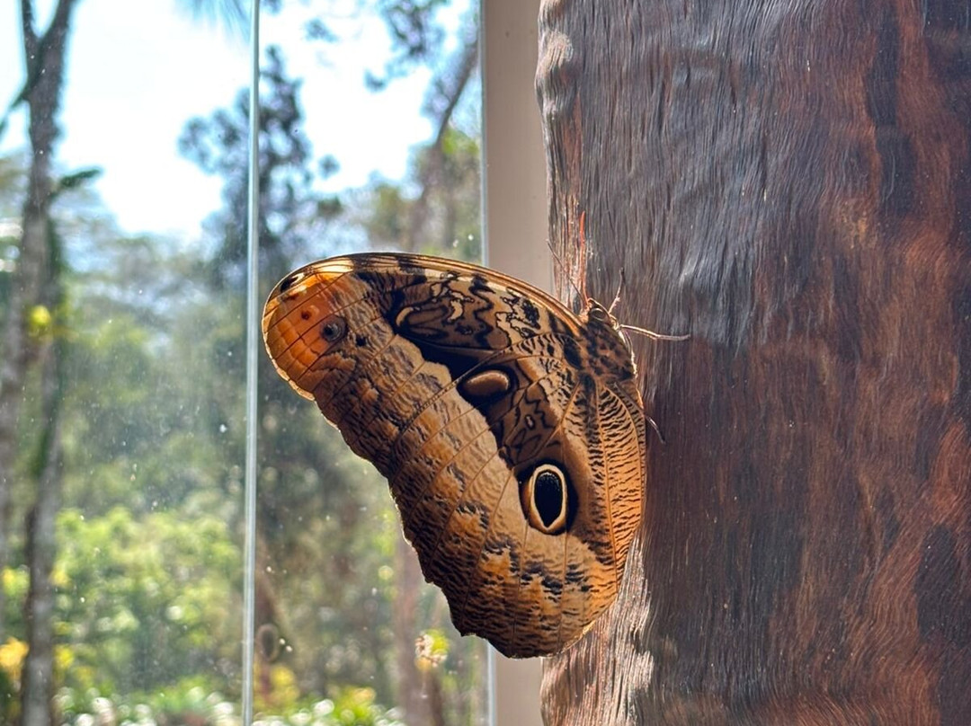 Matiz Resort Igaratá Spa e Eventos主图