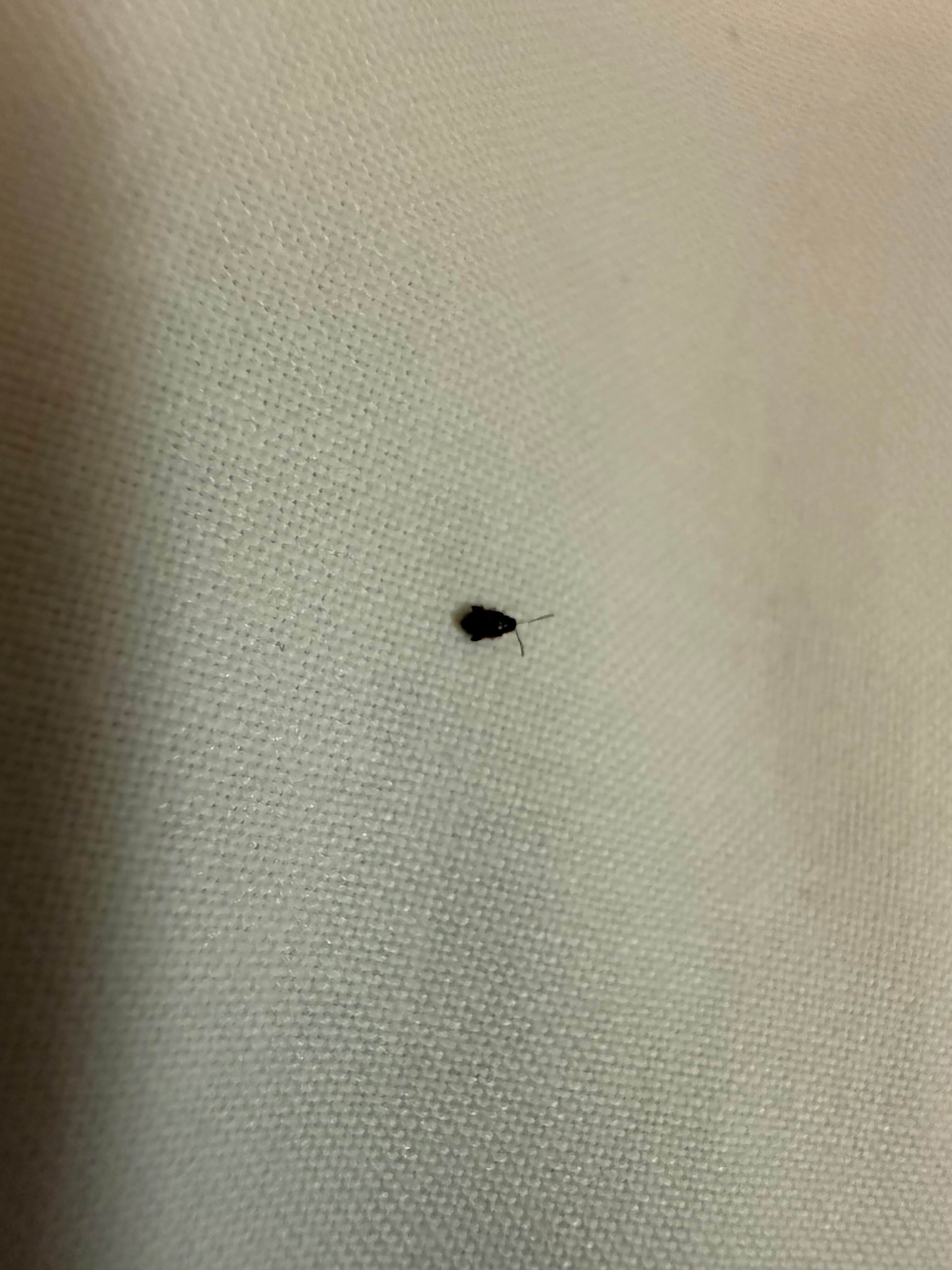 戴斯迈克尔伍德M5酒店-官方