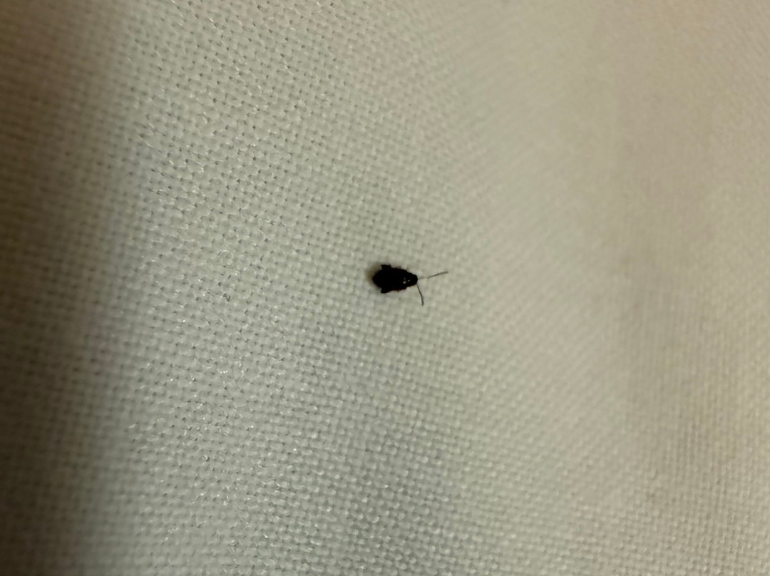 戴斯迈克尔伍德M5酒店主图