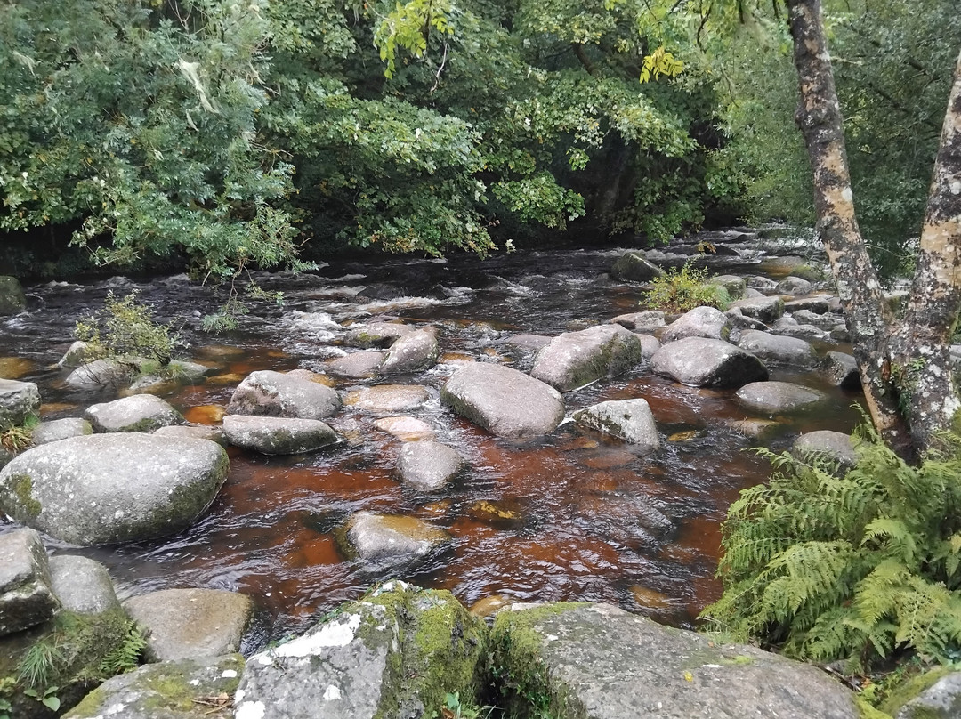 Dartmeet River Junction-Dartmeet必去景点