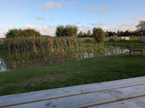 The Duck And Drake Bar And Restaurant