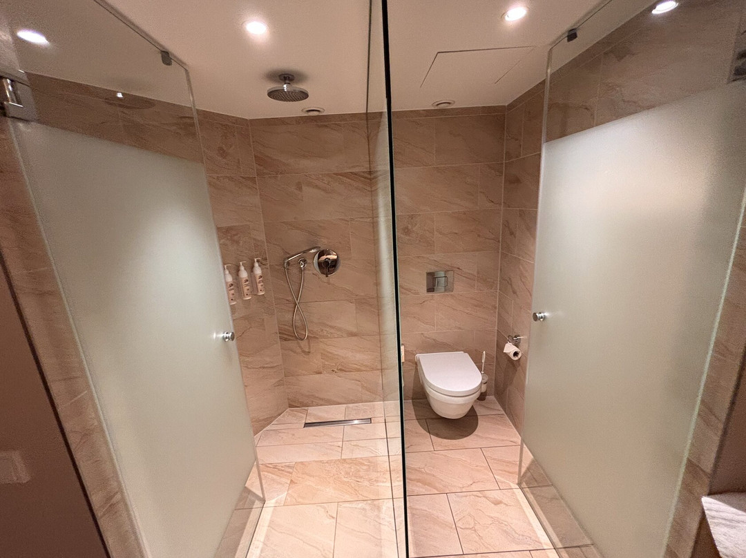 Delta Hotels by Marriott Frankfurt Offenbach主图