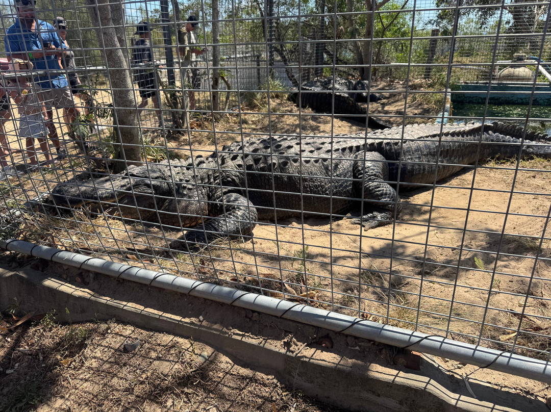 Koorana Crocodile Farm-Coowonga必去景点