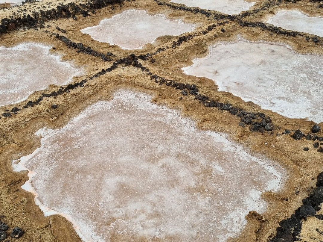 Salinas de los Cocoteros-Teguise必去景点