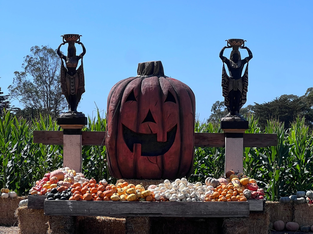 Arata Pumkin Farm-半月湾必去景点
