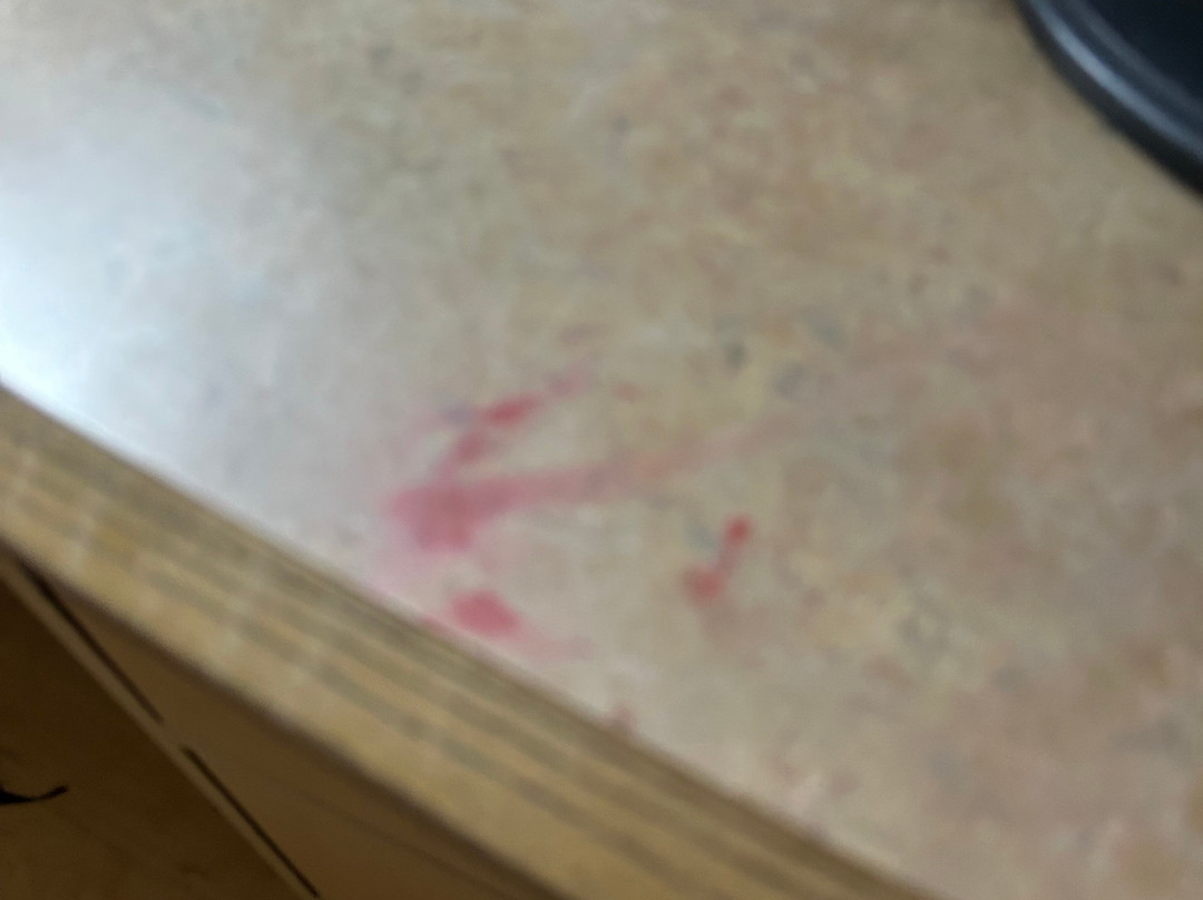 Red Roof Inn Cleveland Airport - Middleburg Heights主图