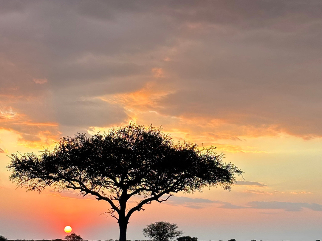 Glimpse of Africa Tented Camp-Ikoma必去景点