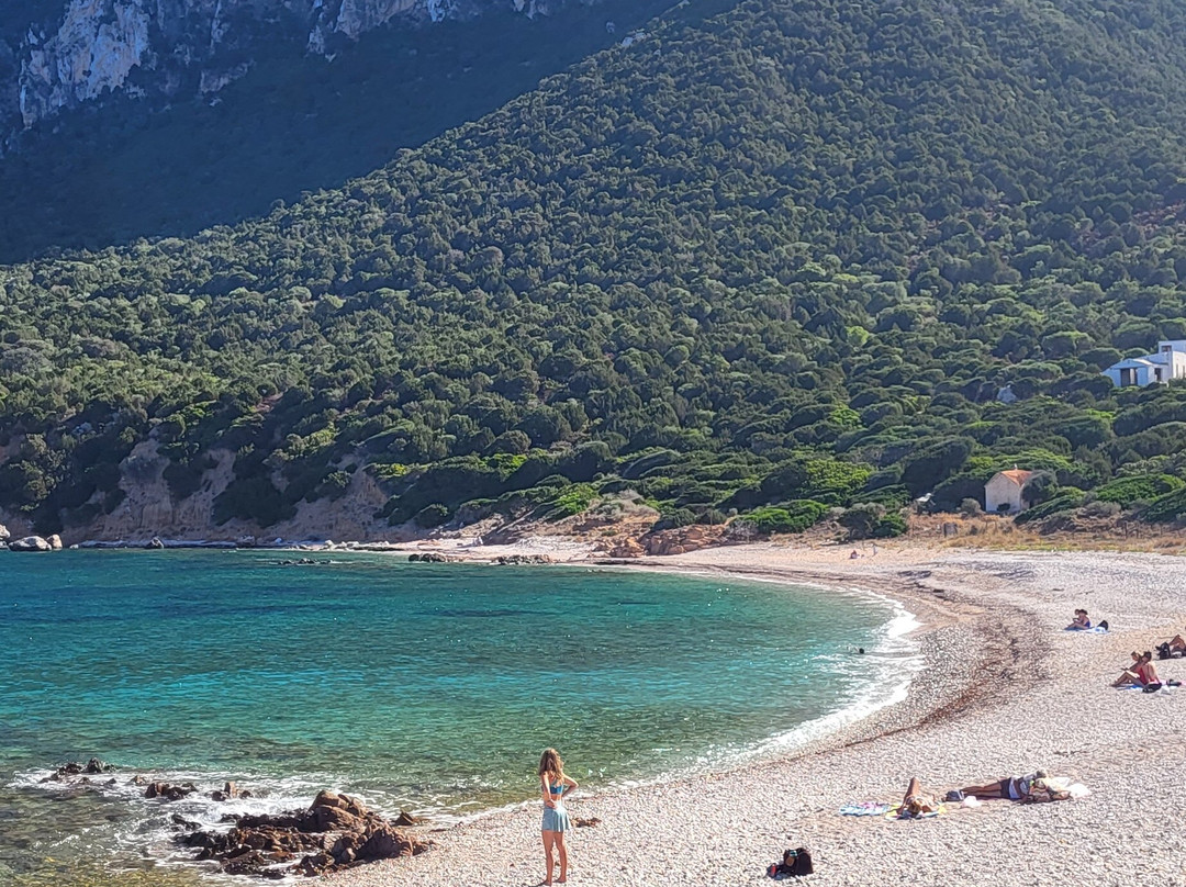 Karibu Diving & Travel-San Teodoro必去景点