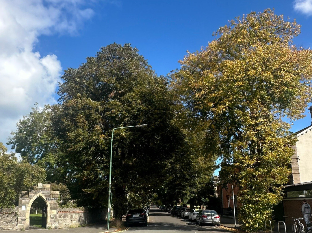 Dublin Through The Ages Tours-Templeogue必去景点