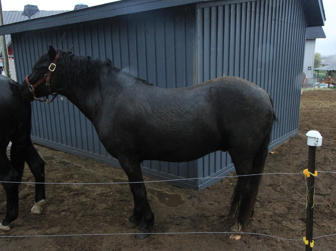 Central Experimental Farm