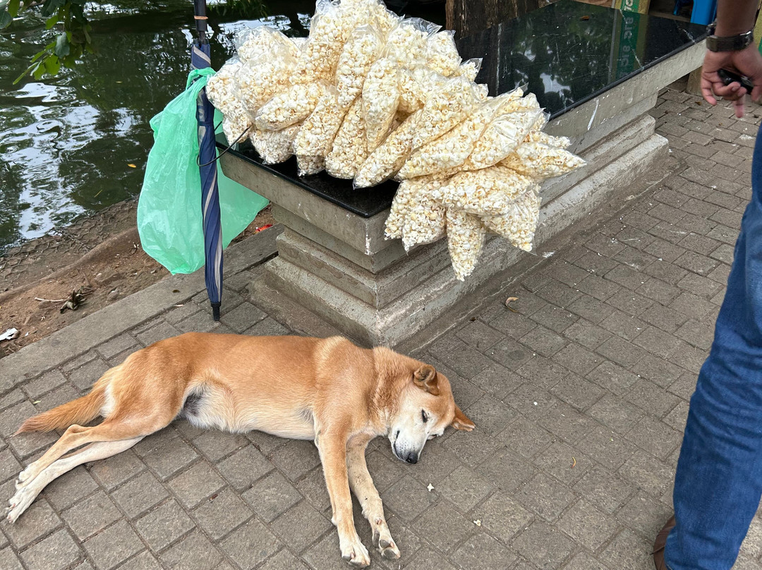 Ceycey Go-拉非尼亚山必去景点