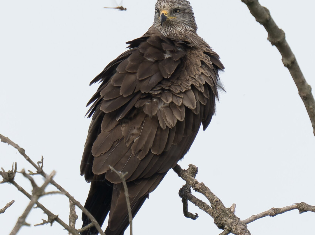 Discovering Donana-El Rocio必去景点