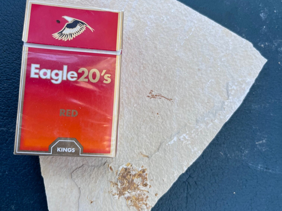 American Fossil-Kemmerer必去景点