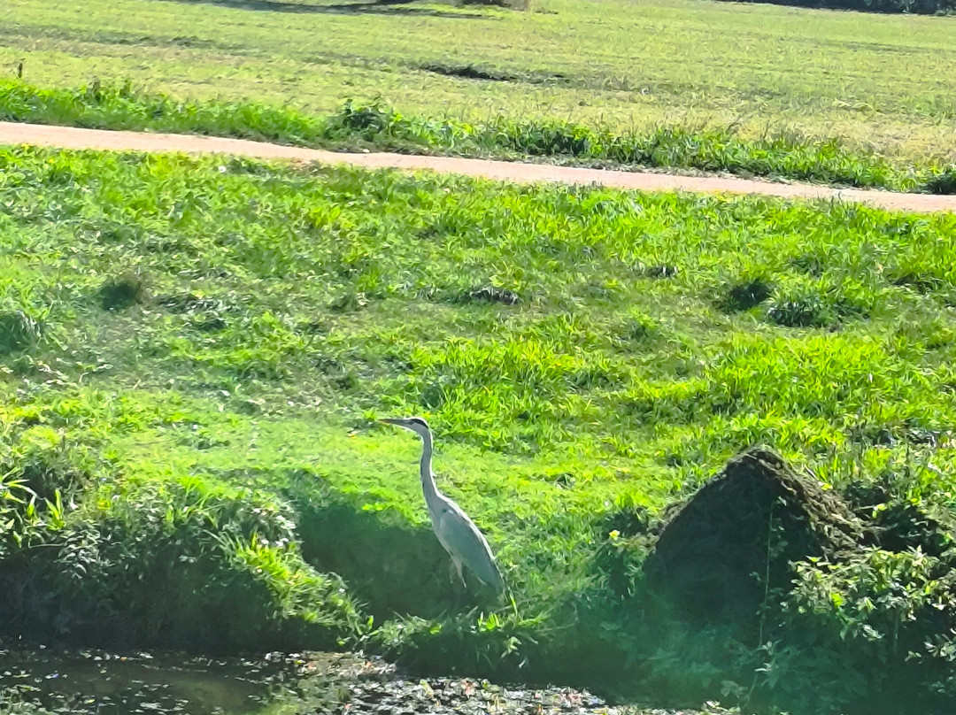 Le Boat - Messac-Messac必去景点
