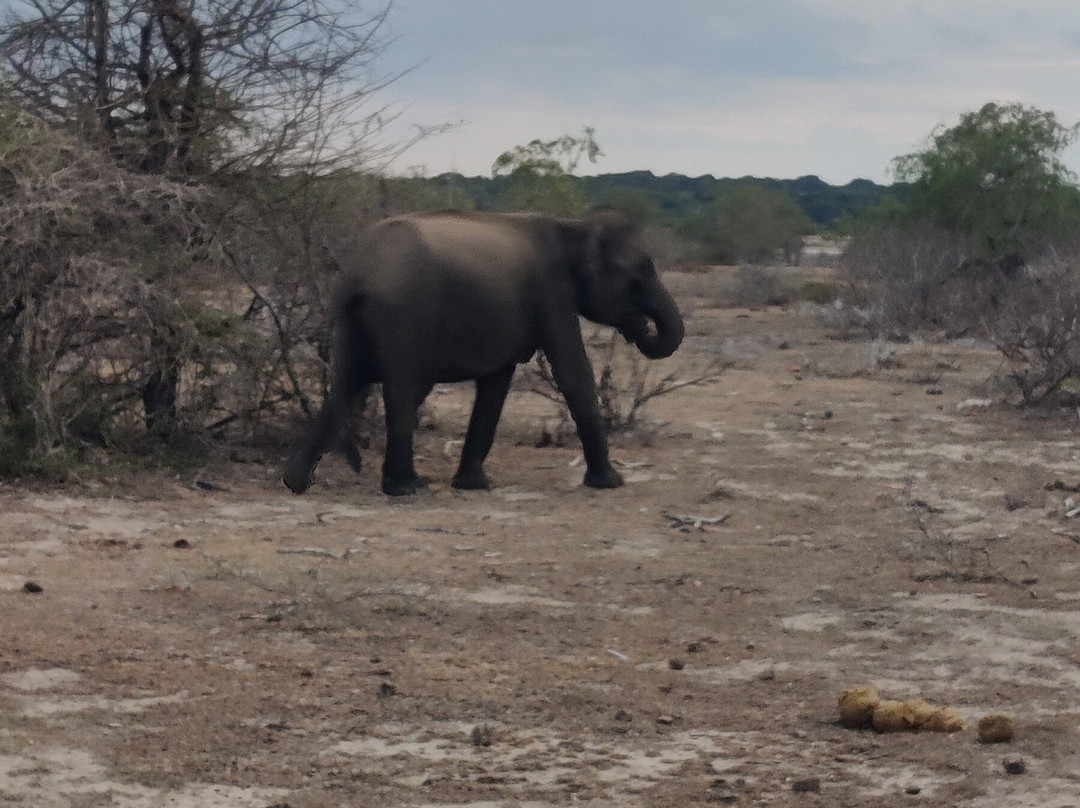 Southern Wild Safari-蒂瑟默哈拉默必去景点