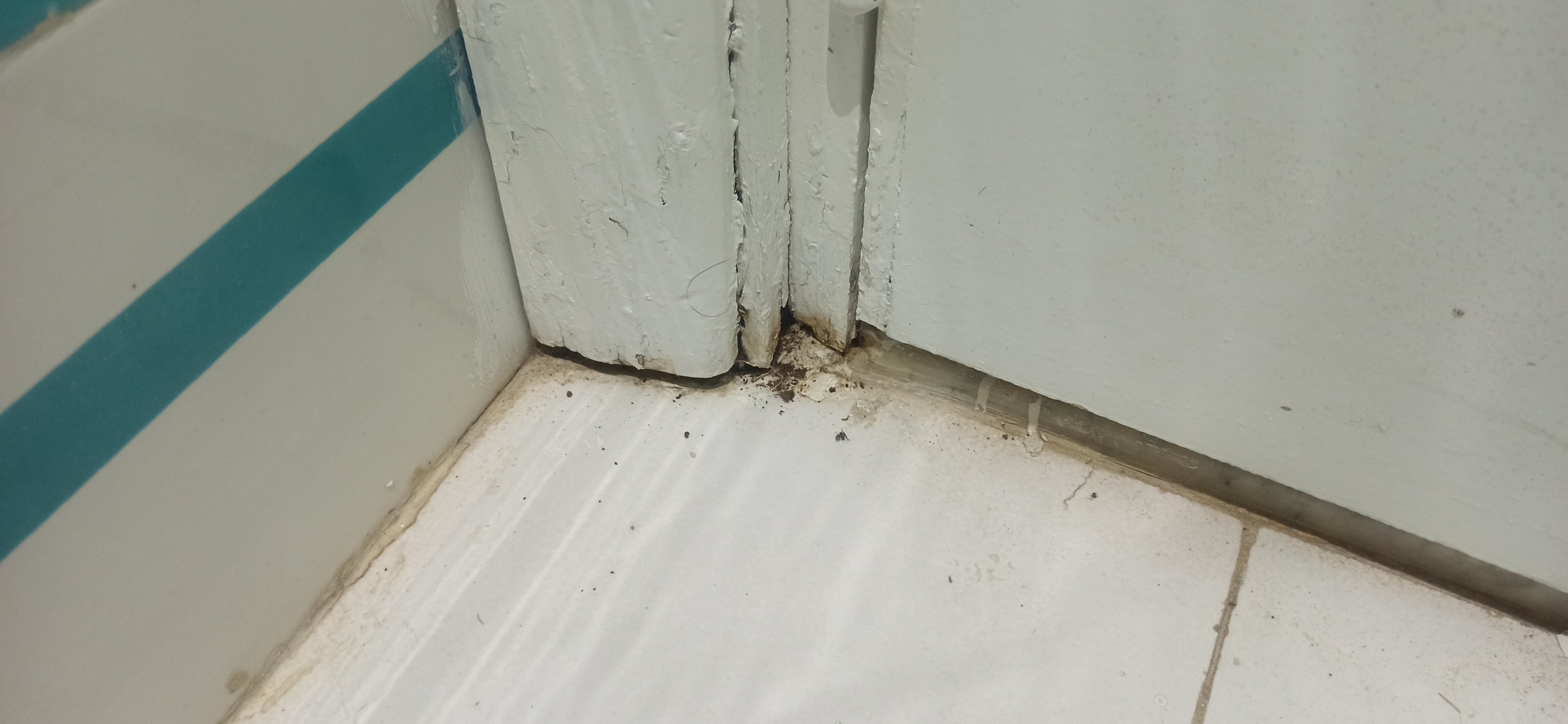 El 牟拉迪马赫迪耶酒店-官方