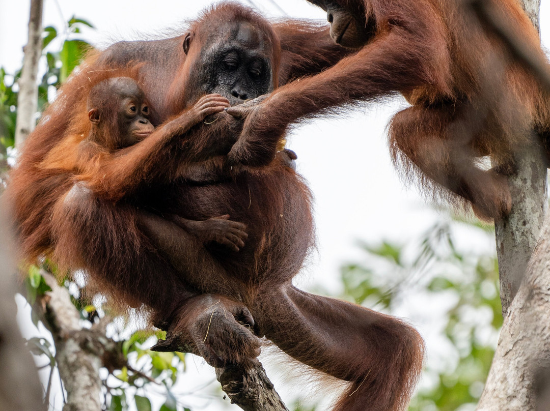 Bali Profond-登巴萨必去景点