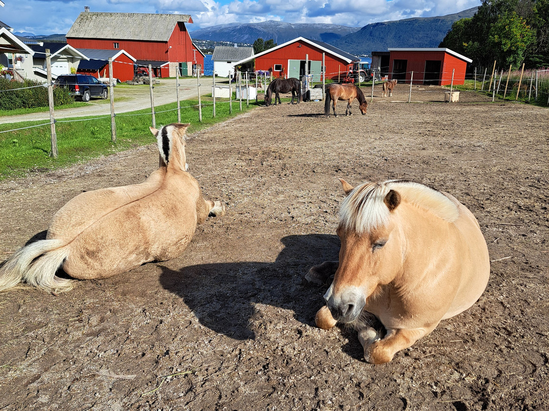 Tromsø Turhest As-Kvaloya必去景点