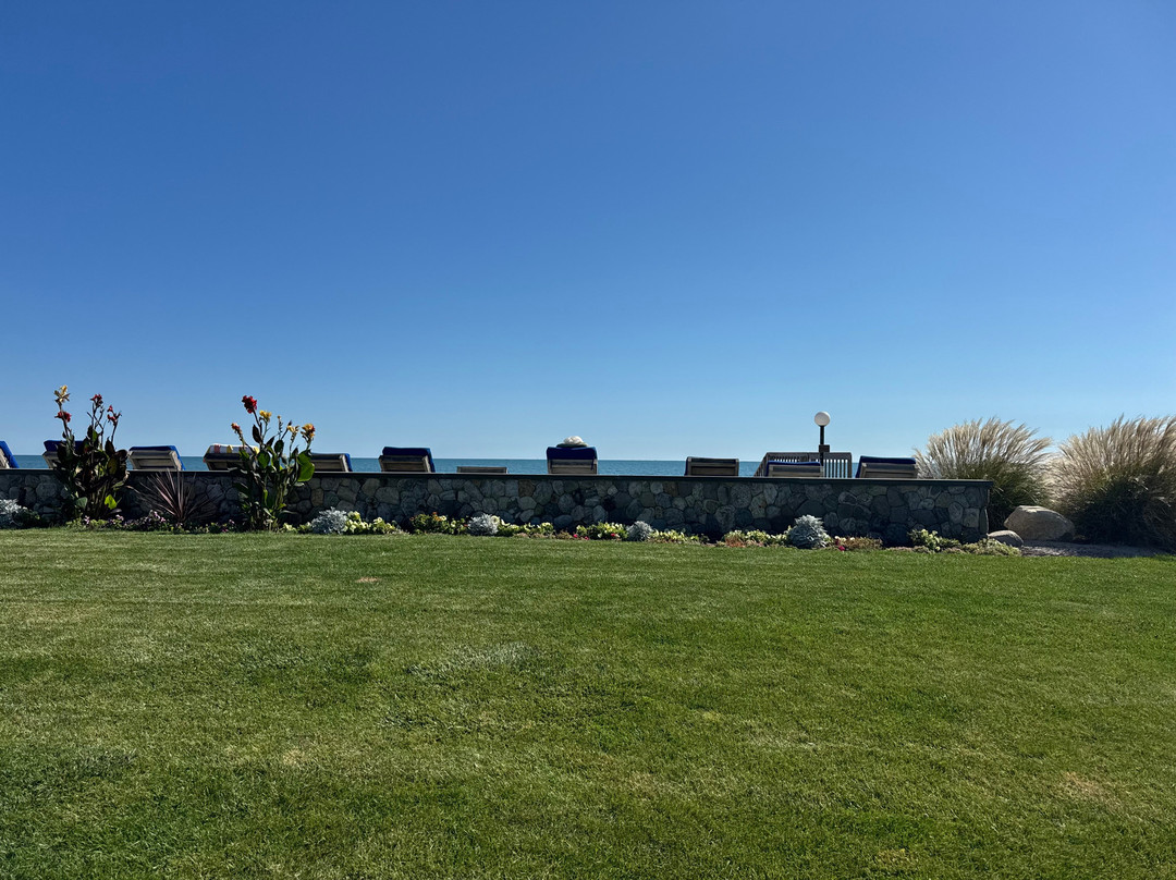 Surfcomber on the Ocean主图