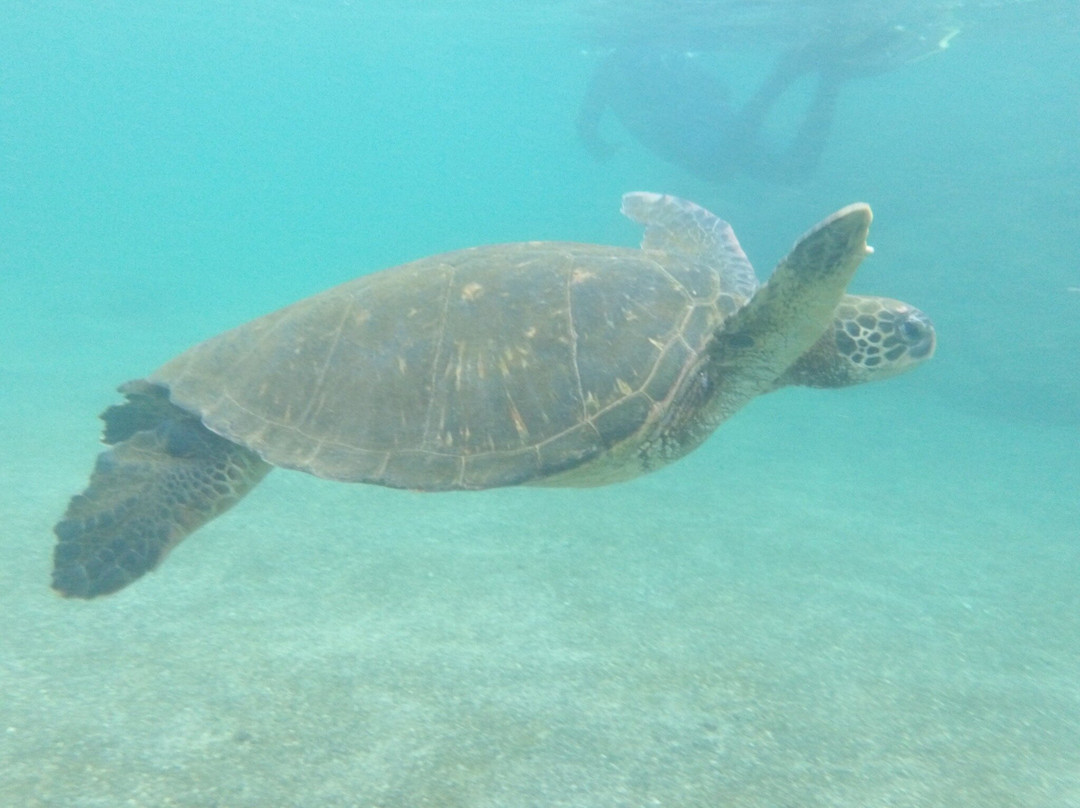 Los Tuneles-维里亚米尔港必去景点