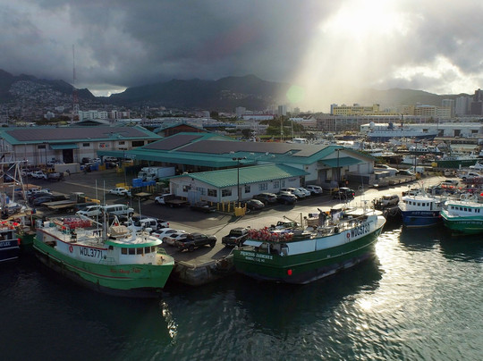 火奴鲁鲁鲜鱼拍卖会-火奴鲁鲁必去景点