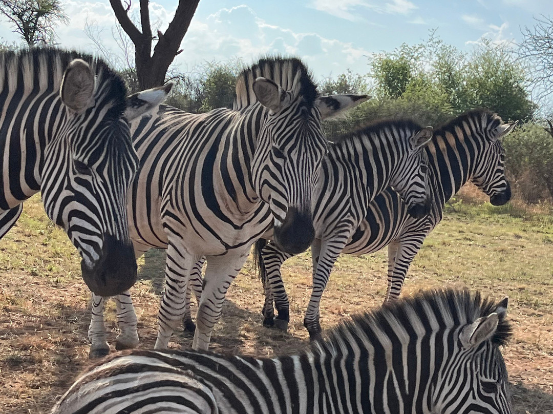 Sondela Nature Reserve Accommodation主图