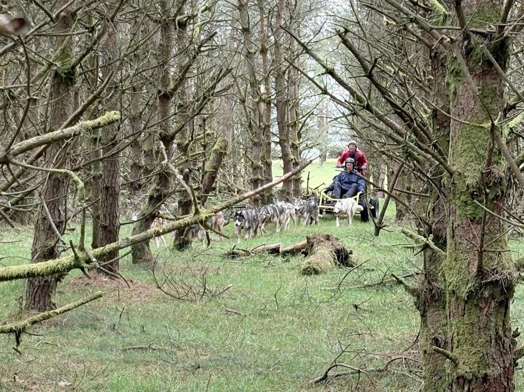Bowland Trails-Blairgowrie必去景点