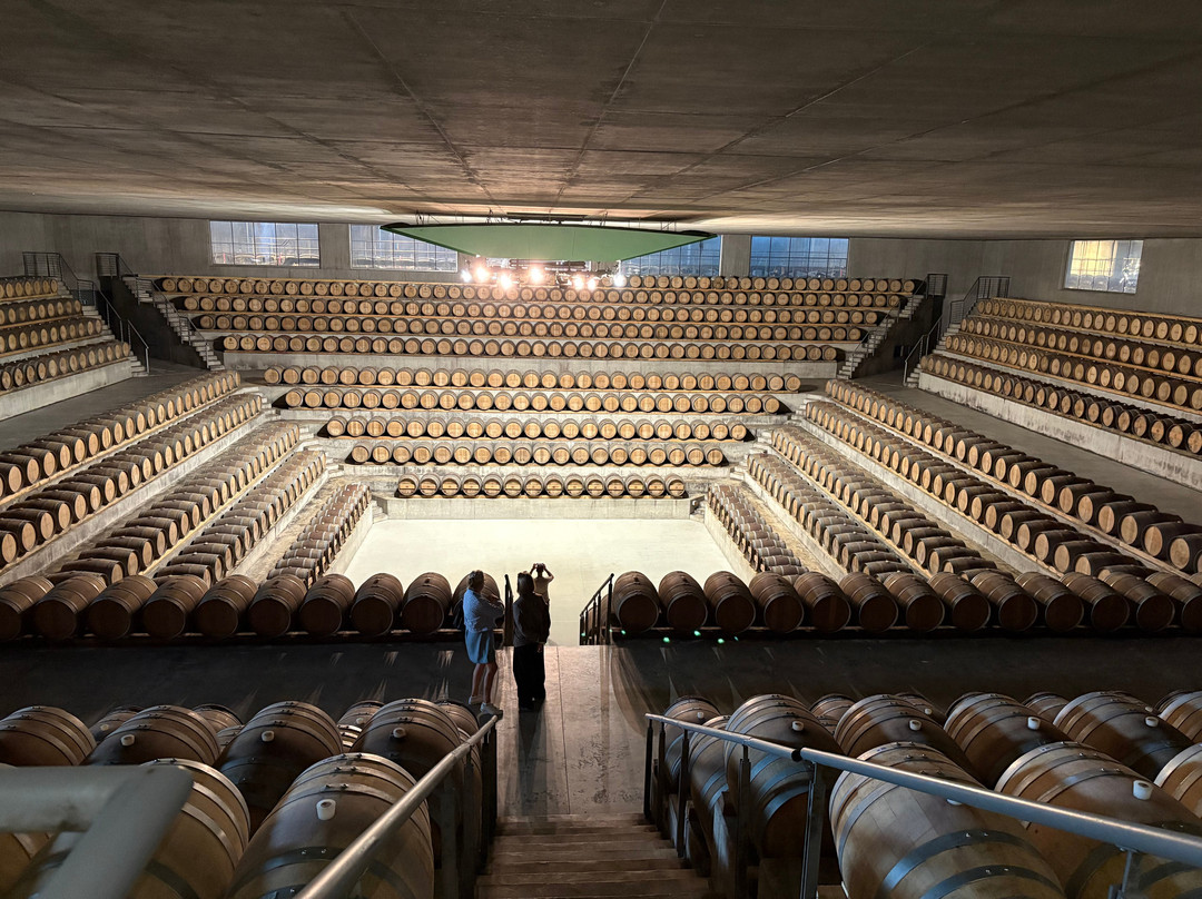 Cantina Rocca di Frassinello