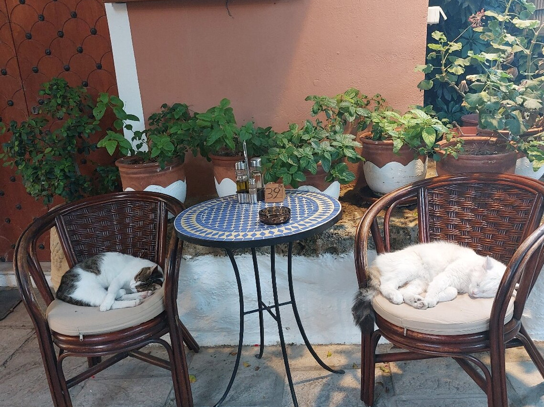 Connecto-布拉格必去景点