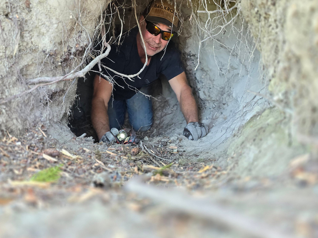 Alpenglow Mountain Escapes-Nakusp必去景点