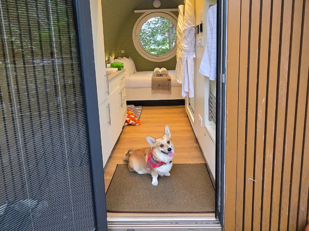RiverBeds Luxury Wee Lodges主图