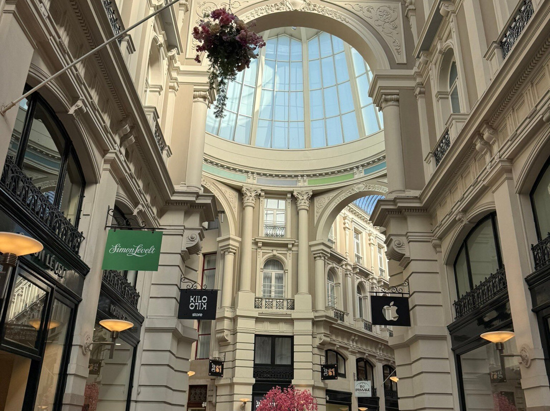 Passage购物街-海牙必去景点