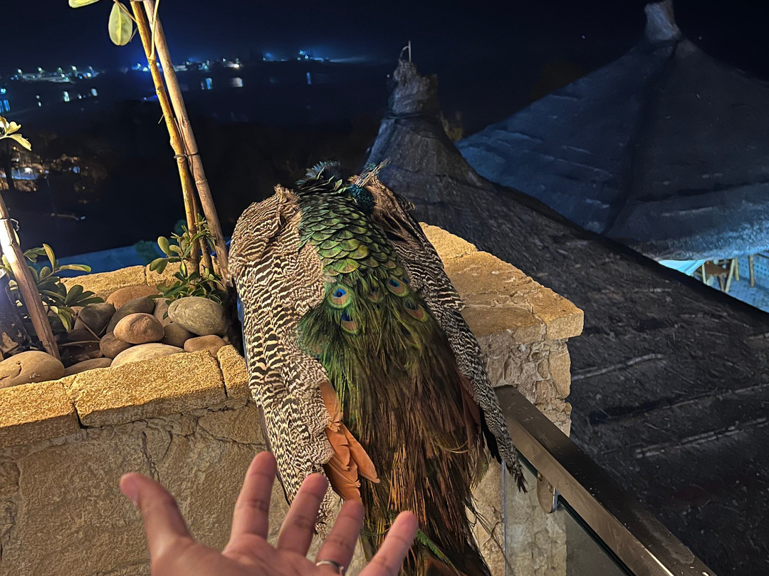 Chateau Eden El Rouh主图