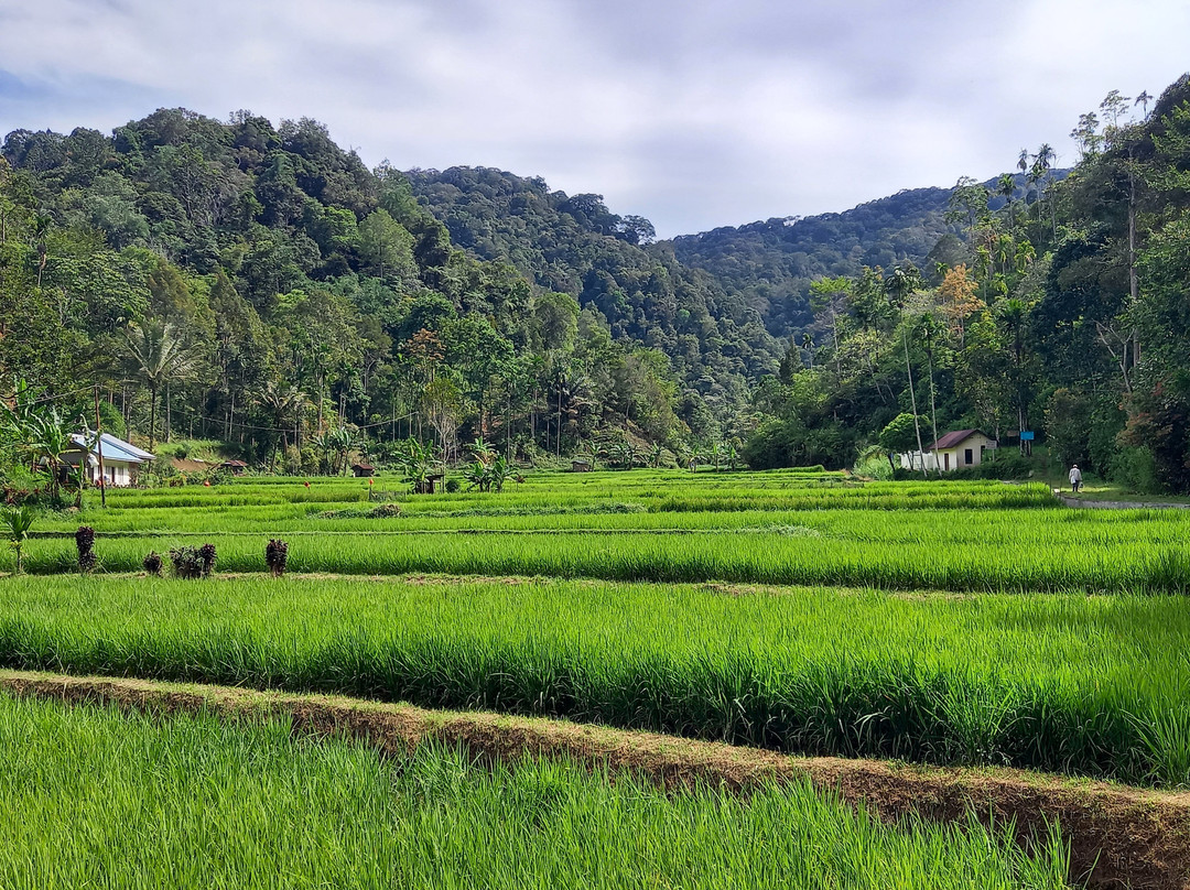 Erik Tour Bukittinggi-武吉丁宜必去景点