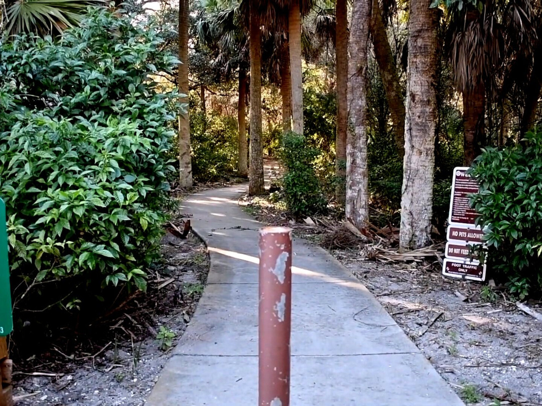 Frenchman's Forest Natural Area-棕榈滩花园必去景点
