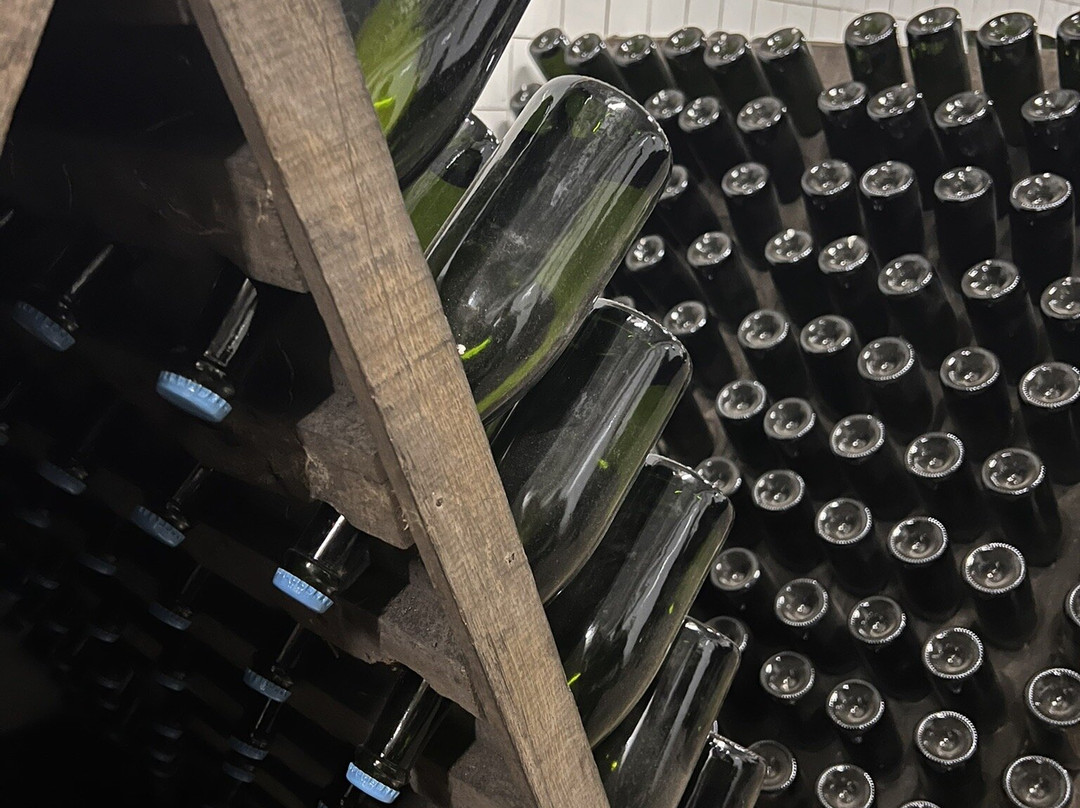 Cricova Winery-Cricova必去景点