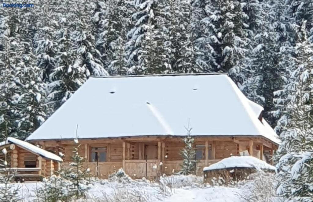 Poiana Cu Sinziene