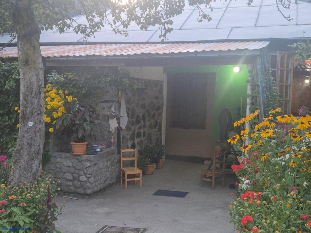 Guest House Iraklii