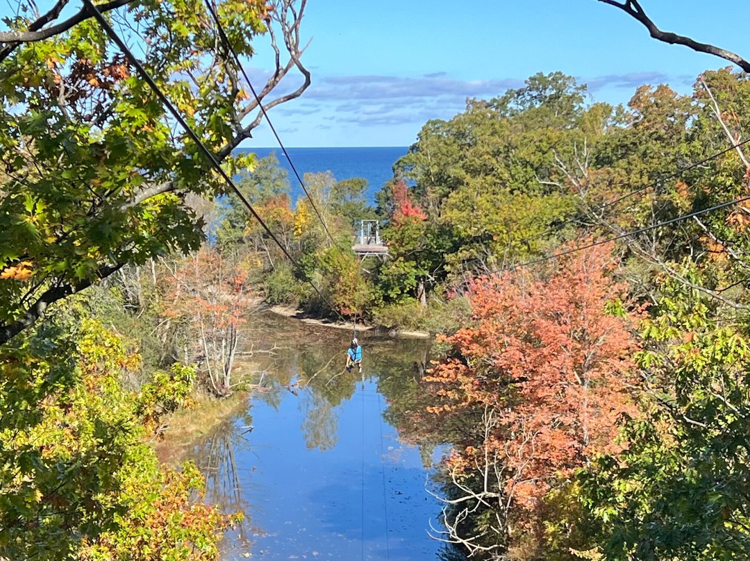 Lake Erie Canopy Tours-Geneva必去景点