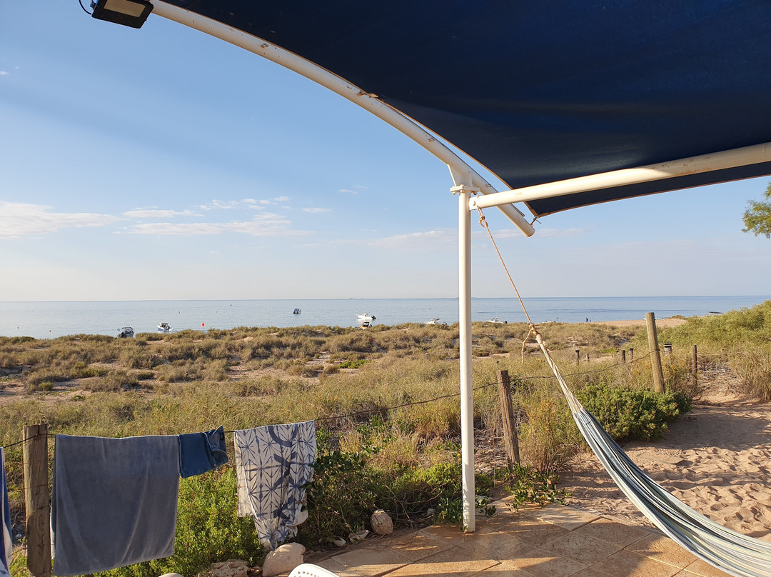 Mackerel Islands主图