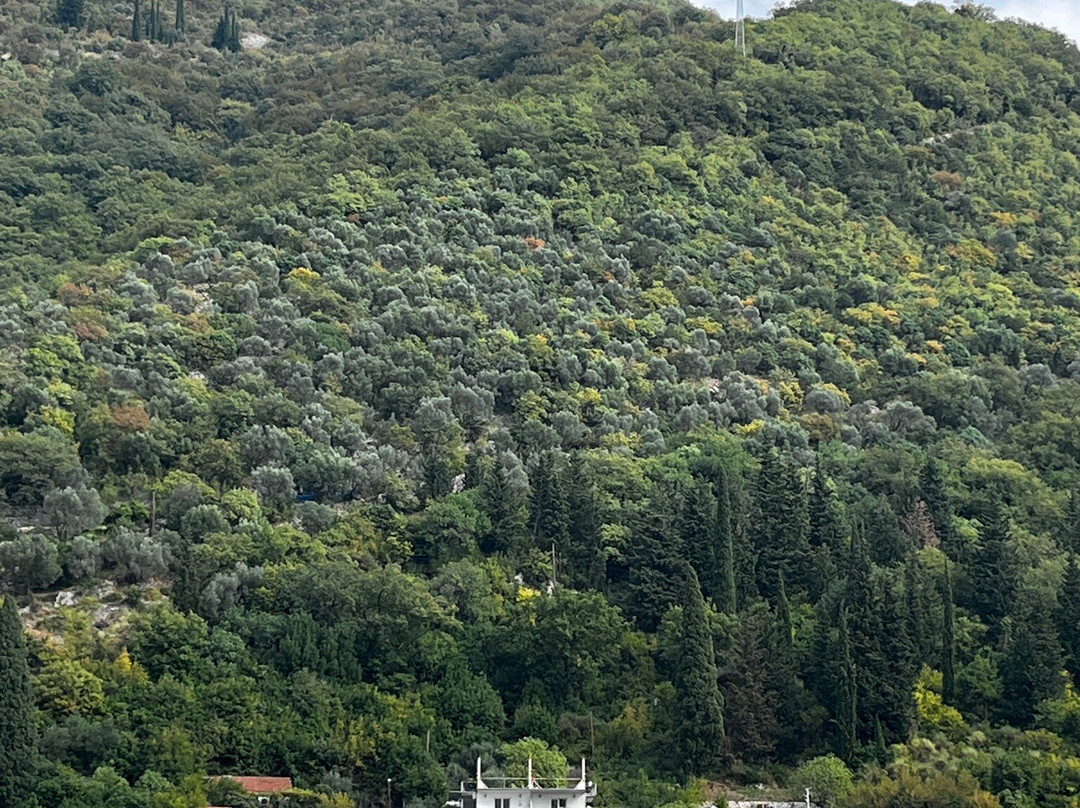 Ferry Kamenari-Lepetane-Kamenari必去景点